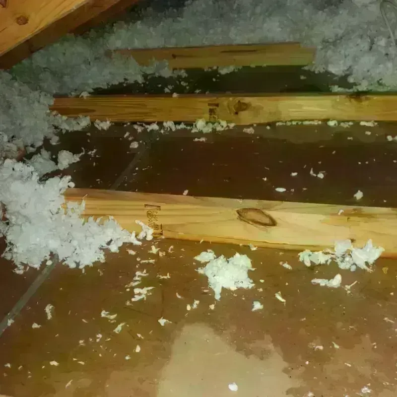 Attic Water Damage in Londonderry, VT