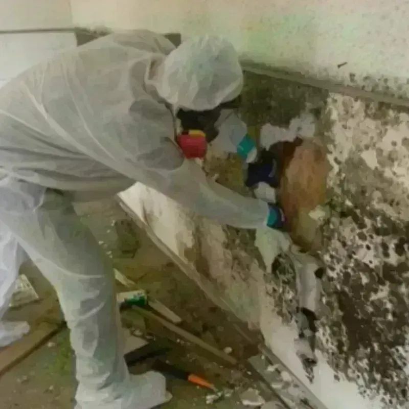 Mold Remediation and Removal in Londonderry, VT